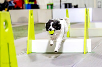 28, Ulti Mutts- Milwaukee Dogs Great Balls of Fur