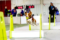 31, Milwaukee Dogs Kaos