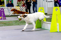 33, Ruff Position- K9 Wrecking Ball