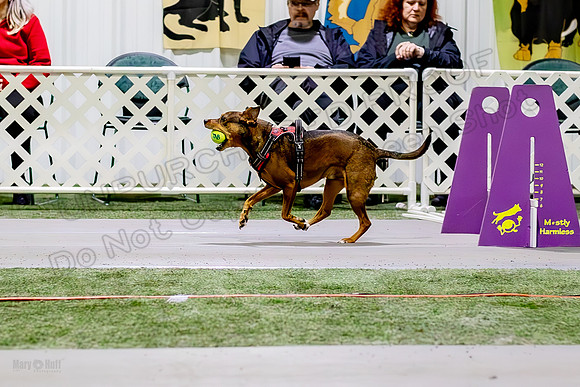 AE4I9746-