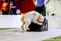 34, K9 Turn N Burn- Rapids Intens A Flyrs