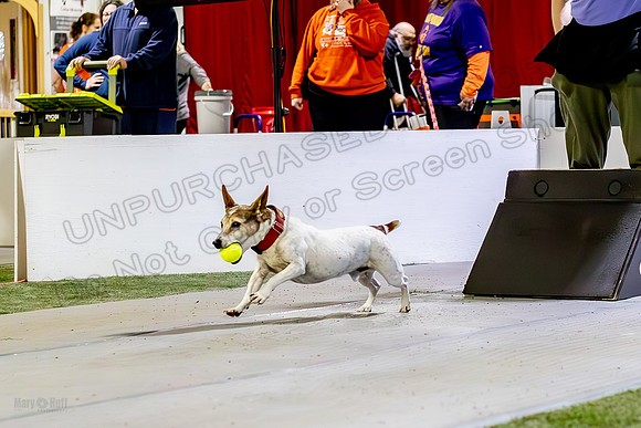 AE4I9687-