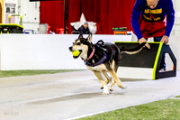 36, Two Lane Hwy- Ruff Position