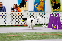 39, milwaukee dogs- ruff position