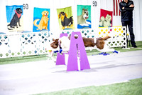 AE4I0181-