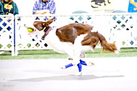 AE4I0210-