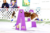 AE4I0211-
