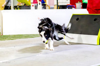 56, bordering on insanity- ruff position