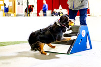 63, milwaukee dogs- ulti mutts