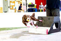 70, singles, k9 wrecking ballz