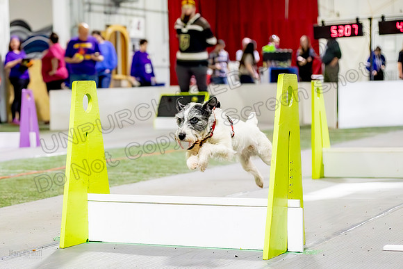 AE4I1175-