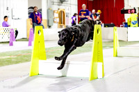 75, ruff position- milwaukee dogs