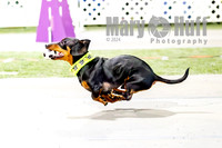 Sunday March 3-1-photos