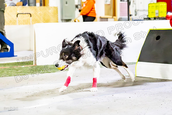 AE4I1368-