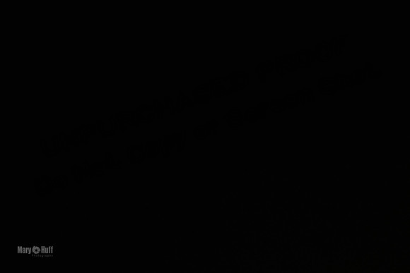 AE4I3663