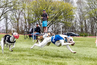 WRA, Prg 4, Race 2, Seeker Eddie Watson Clyps Pandy Barley-9300