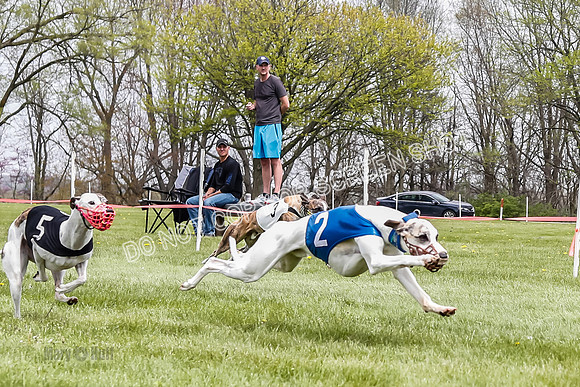 WRA, Prg 4, Race 2, Seeker Eddie Watson Clyps Pandy Barley-9300