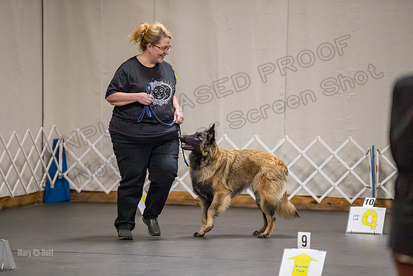 AE4I2454-