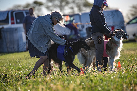1 Prelims Vet 1 Yaro Chase Zip-3038