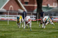 WRA, Prg 1, Race 2, Dash, Reas Mika Buzzsaw Moonstruck Elvis-8253