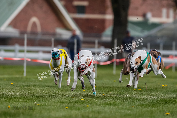 WRA, Prg 1, Race 2, Dash, Reas Mika Buzzsaw Moonstruck Elvis-8253