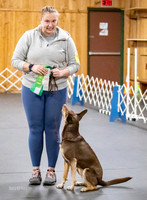 AE4I2101