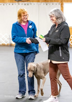 Win Photos, Free to Download
