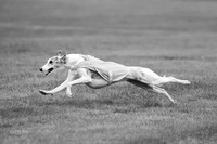 Prelims Misty-0639-2