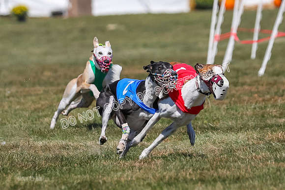 Prg 3, Race 9, Bibi Maybe Nami Rosie-2162