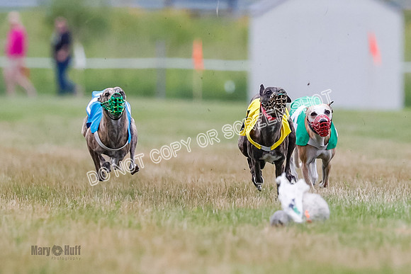 Prg 3, Race 5, Sid-Alex-Zed-Fama-Talim-1165