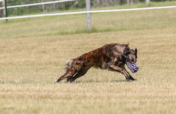 5C7A0230