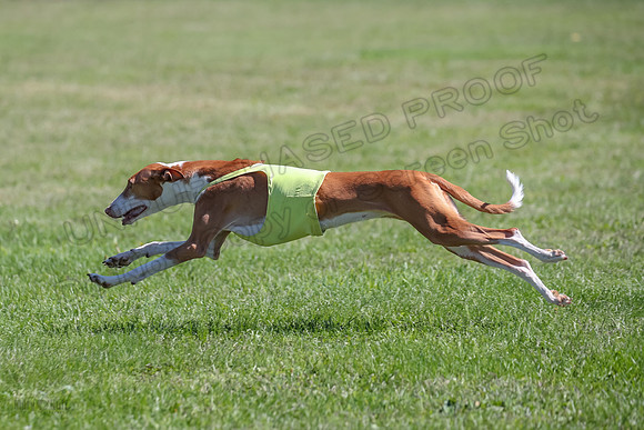 Finals Fch 2 Beastie Ginny-8305