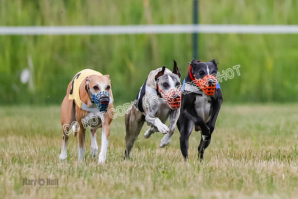 Prg 2, Race 4, Marty, Bogie, Denim, Meatloaf, Blaze, Raz-2-4