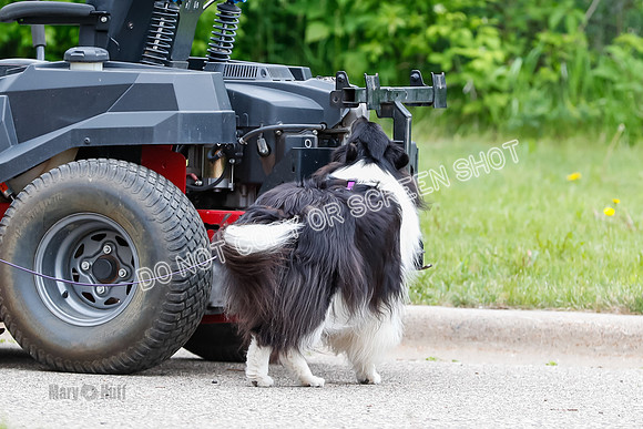 L3 Vehicle-7415