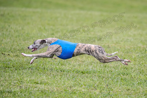 Prelim Open G1, Banshee Mystic Stoli-9428