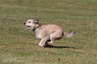 IMG_1565