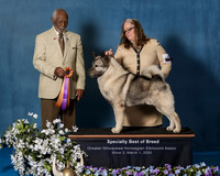 Elkhound 2020-1169-Edit