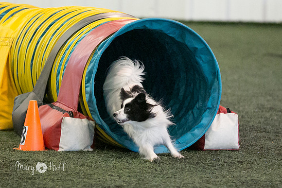 HO4A1395