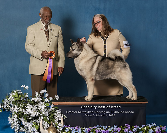 Elkhound 2020-1169-Edit