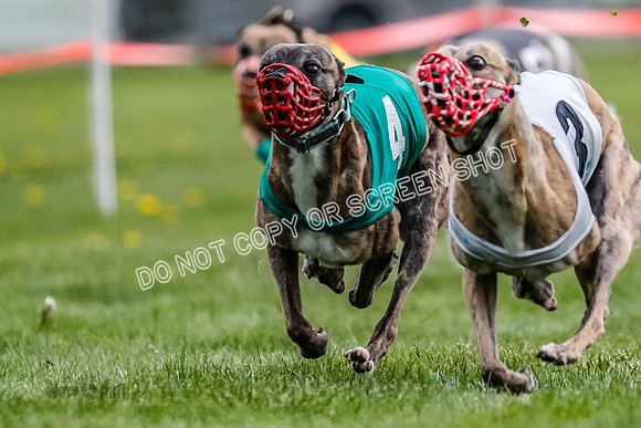 WRA, Prg 1, Race 5, Henry Eddie Deal Moki Feather Hit-8331