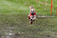 front flight MCH76954