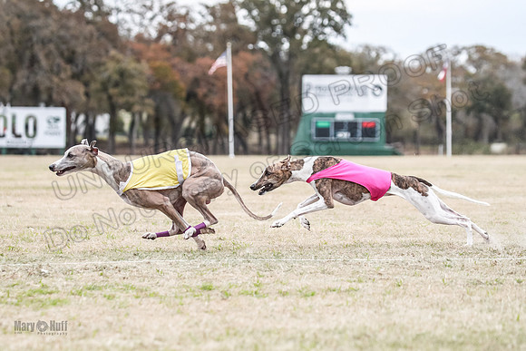 Finals Open 4 Rigel Trixie-4100
