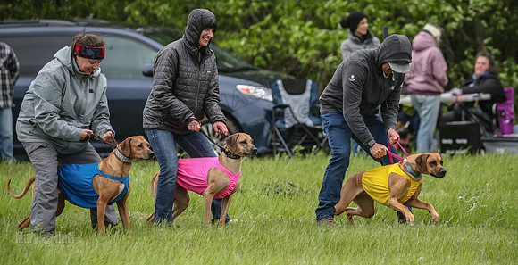 Finals Fch Opal Islay Eve-8996