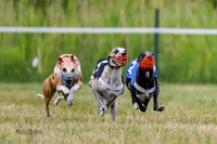 Prg 2, Race 4, Marty, Bogie, Denim, Meatloaf, Blaze, Raz-2-3