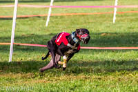 IMG_5043