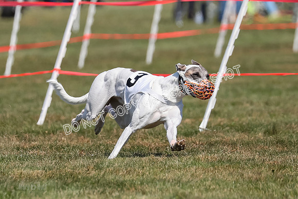Prg 3, Race 4, Riggs Watson Intro-2010