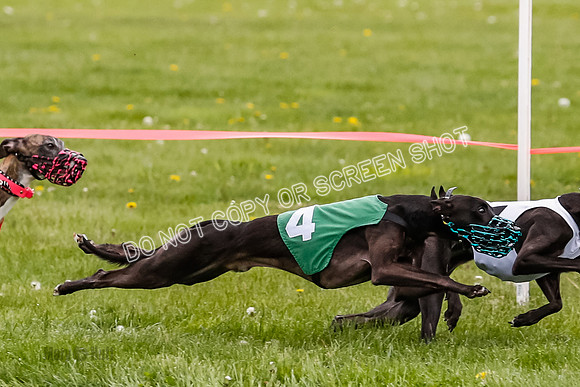 NOTRA Program 4, Race 1, Warrior Barley Flair Victor-2-22