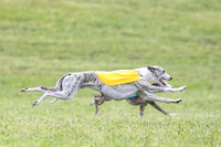 Prelim Specials A1, Booster Leo KinkyBoots-9620