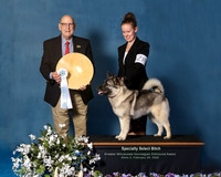 Elkhound 2020-1125-Edit2