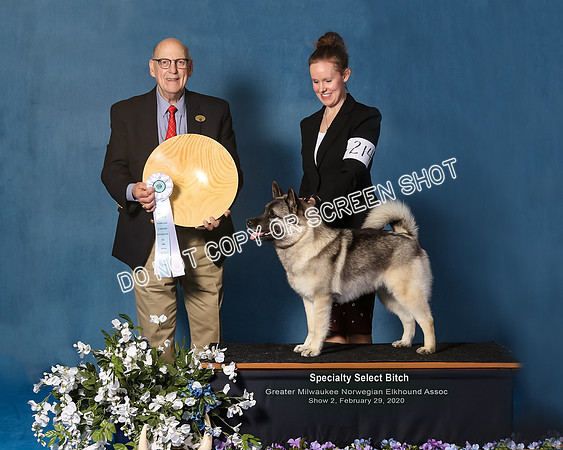 Elkhound 2020-1125-Edit2